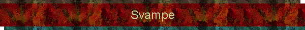 Svampe